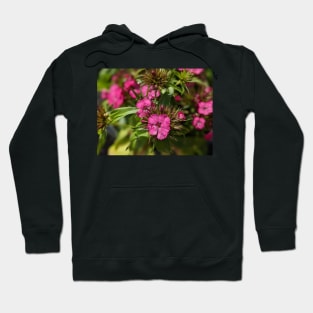 Pink Spiky Flowers Hoodie